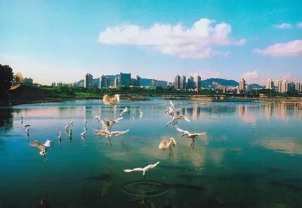 人民日?qǐng)?bào)：環(huán)境有價(jià)，損害必須擔(dān)責(zé)